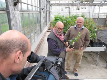 A Prodotto Italia le nuove varietà per una agricoltura sostenibile 