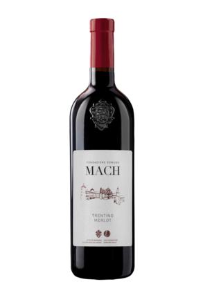 BOTTIGLIA Merlot