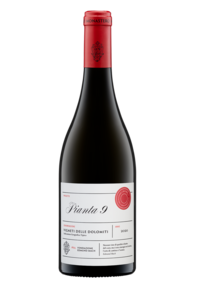 Pianta 9 BOTTLE