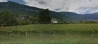 Navicello