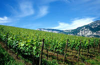 San Michele all'Adige