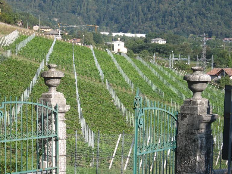 Vigalzano
