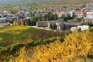 il Campus della Fondazione in Autunno