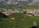 Il Campus di San Michele dalla Collina di Faedo