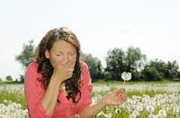 Allergie, in arrivo i pollini di Artemisia e Ambrosia