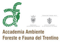 Accademia Ambiente Foreste Fauna