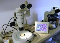 Microbiologia Alimentare