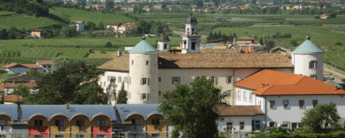 Organizzazione