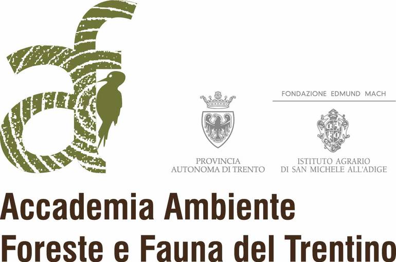 Accademia Ambiente Foreste e Fauna