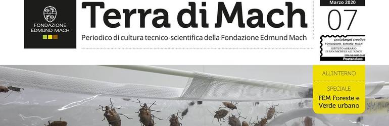 Notiziario FEM 