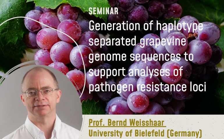 Prof. Bernd Weisshaar's seminar