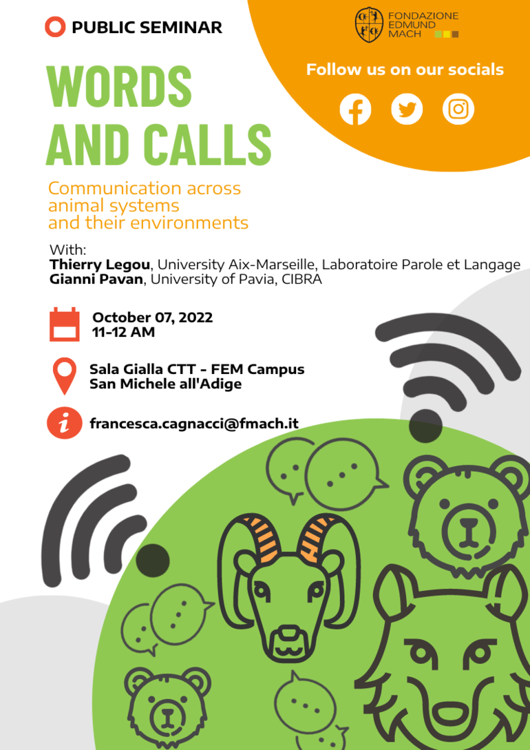 Words and calls Seminar
