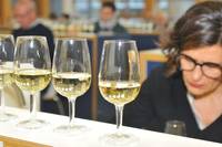  2 ^ Rassegna dei vini PIWI, iscrizioni aperte fino al 14 ottobre