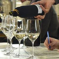 6° Concorso vini del territorio, domani al via la valutazione dei vini 