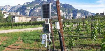 A come Alpi_ Nasce nel campus FEM il vigneto 4.0