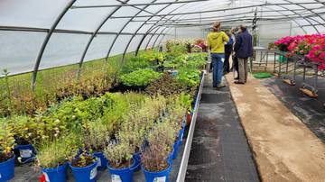 Celebrata nel campus FEM la giornata della biodiversità agricola 