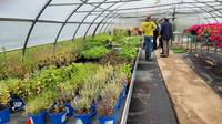 Celebrata nel campus FEM la giornata della biodiversità agricola 