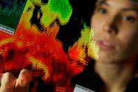 Epidemic intelligence, FEM e FBK nel progetto mondiale di monitoraggio e prevenzione 