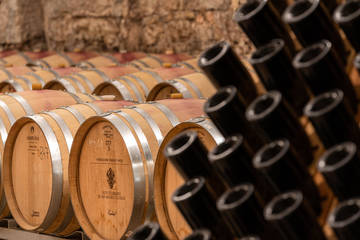 FEM e Trentodoc, storie intrecciate di ricerca e innovazione     