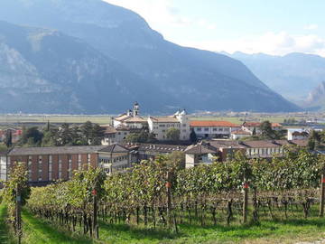 Fondazione Edmund Mach: nominato il Consiglio d'amministrazione