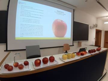 In vetrina e in assaggio le nuove varietà di melo "resistenti" selezionate dalla ricerca FEM 