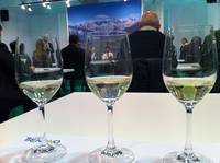 La Fondazione Mach a Vinitaly 2013