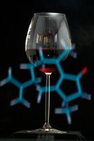 Macrowine, il punto sulla ricerca vitienologica mondiale chiude con 20 ore di diretta, 428 esperti a confronto di 23 paesi 