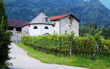 Premio De Bellat a cinque studenti meritevoli della Valsugana 