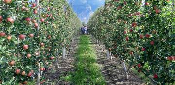 Pronti 40 nuovi imprenditori agricoli. Lunedì 14 novembre la consegna dei brevetti