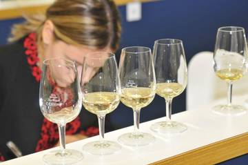 Si apre il sipario sulla prima rassegna nazionale dei vini "resistenti" , 95 etichette in gara