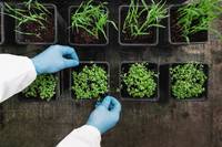 Sondaggio FEM  nelle scuole trentine sulla conoscenza della "bioeconomia" 