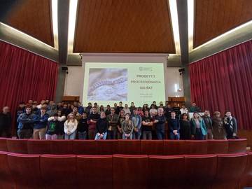 Studenti trentini “armati” di GIS mappano la processionaria 