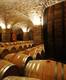 CANTINA STORICA (Archivio Iasma- Agf Bernardinatti)
