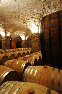 CANTINA STORICA (Archivio Iasma- Agf Bernardinatti)