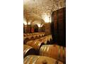 CANTINA STORICA (Archivio Iasma- Agf Bernardinatti)