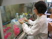 LABORATORI IASMA (Archivio Iasma)