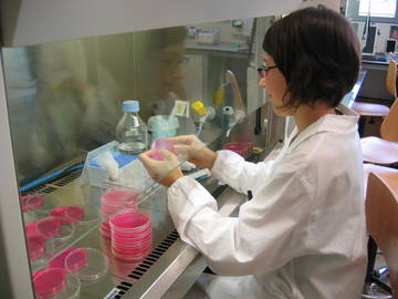 LABORATORI IASMA (Archivio Iasma)