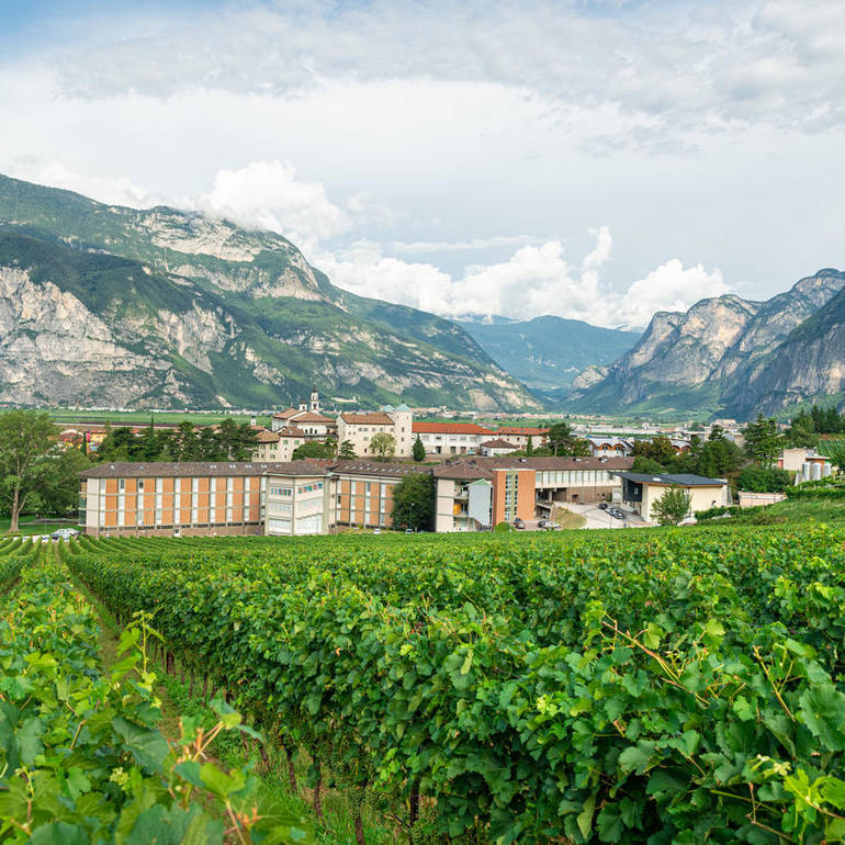 PANORAMICA CAMPUS FEM 