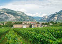 PANORAMICA CAMPUS FEM 