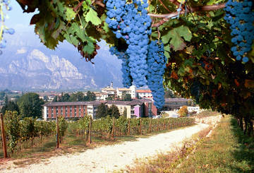 PANORAMICA IASMA (Archivio Iasma- Foto AGF Bernardinatti)