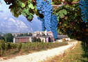 PANORAMICA IASMA (Archivio Iasma- Foto AGF Bernardinatti)