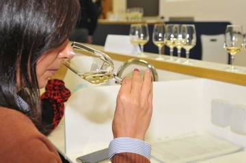 3^ Rassegna dei Vini Piwi, iscrizioni aperte fino al 29 settembre