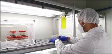 A come alpi _  Viaggio nelle camere di quarantena e lotta alla Drosophila Suzukii