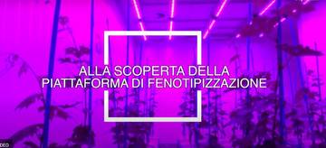 A come Alpi_ alla scoperta della piattaforma di fenotipizzazione 