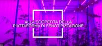 A come Alpi_ alla scoperta della piattaforma di fenotipizzazione 