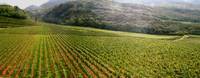A come Alpi_ azienda agricola FEM