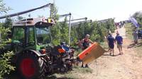 A come Alpi_ Frutteto sostenibile: alternative al diserbo"