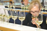 A come Alpi_ la prima rassegna nazionale dei vini "resistenti"