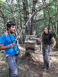 A come Alpi_ la ricerca FEM sulla fauna selvatica e il punto Api con il miele trentino