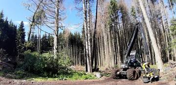 A come Alpi_ La salute dei boschi nel post Vaia 